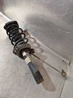 Volkswagen Golf VI Front shock absorber with coil spring 1T0413031EQ