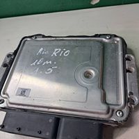 KIA Rio Sterownik / Moduł ECU 391012A616