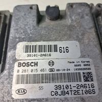 KIA Rio Sterownik / Moduł ECU 391012A616