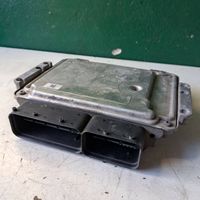 Hyundai Santa Fe Sterownik / Moduł ECU 3911327805