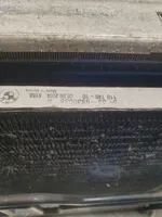 BMW 1 E81 E87 Coolant radiator 11074810