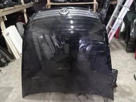 Volkswagen Phaeton Engine bonnet/hood 