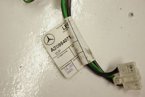 Mercedes-Benz CLK A209 C209 Priekšējo durvju vadu instalācija A2095407105