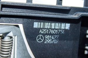 Mercedes-Benz R W251 Cerradura de puerta delantera A2517230314