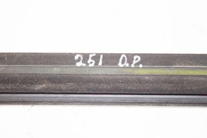 Mercedes-Benz R W251 Moulures des vitres de la porte avant A2516906680