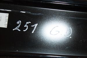 Mercedes-Benz R W251 Listwa drzwi tylnych A2516901689