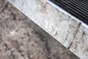 Mercedes-Benz R W251 Chłodnica powietrza doładowującego / Intercooler A1645001900