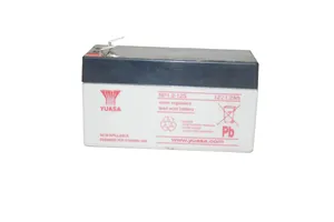 Mercedes-Benz R W251 Battery NP1212S