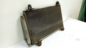 Toyota Prius (XW20) A/C cooling radiator (condenser) 