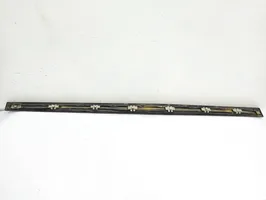 Mercedes-Benz CLK A209 C209 Front door trim (molding) A2096901282