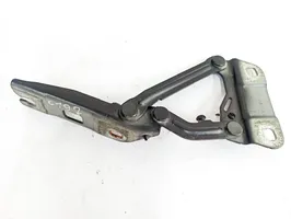 Mercedes-Benz R W251 Cerniere del vano motore/cofano A2518800228