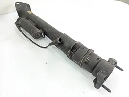 Mercedes-Benz R W251 Rear shock absorber/damper A1645406710