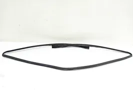 BMW 3 E92 E93 Rubber seal front coupe door window 22339910