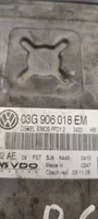 Volkswagen PASSAT B6 Centralina/modulo del motore 03G906018EM