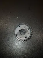 Fiat Ducato Fuel pump gear (pulley) 55265261