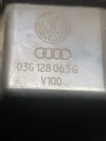 Volkswagen Golf V Throttle valve 03G128063G
