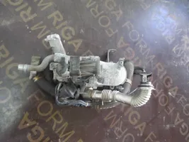 Citroen C4 II Valvola EGR 5056390300