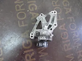 Peugeot 208 Napinacz paska alternatora 9676870780