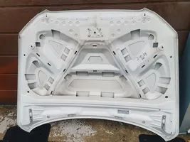 Audi Q5 SQ5 Dangtis variklio (kapotas) 8R0000000