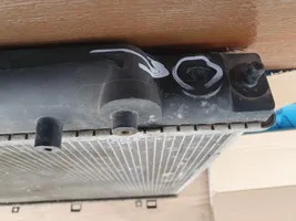 Nissan Pathfinder R51 Dzesēšanas šķidruma radiators ETP11398