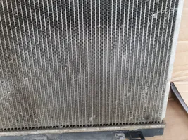 Nissan Pathfinder R51 Dzesēšanas šķidruma radiators ETP11398