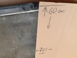 Nissan Pathfinder R51 Dzesēšanas šķidruma radiators ETP11398