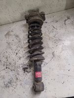 Alfa Romeo 159 Rear shock absorber with coil spring 