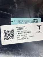 Tesla Model 3 Copertura in plastica per specchietti retrovisori esterni 109229011D