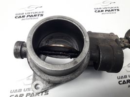 Citroen ZX Throttle valve 21812