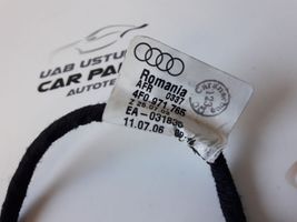 Audi A6 S6 C6 4F Kiti laidai/ instaliacija 4F0971765