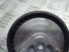 Renault Megane II Napinacz paska wielorowkowego / Alternatora 10026002