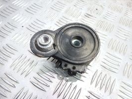 Citroen C5 Napinacz paska wielorowkowego / Alternatora 