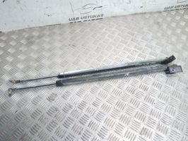 Ford E100 Gasdruckfeder Dämpfer Heckklappe Kofferraumdeckel S12262620A