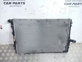 Volkswagen PASSAT B7 Radiatore di raffreddamento 3C0121253