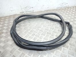 Volkswagen PASSAT B7 Front door rubber seal 3C4867911B