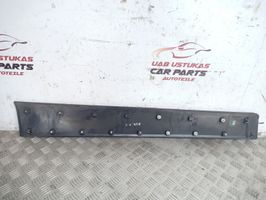 Chevrolet Captiva Rivestimento della portiera anteriore (modanatura) 96439708