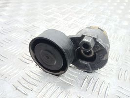 Nissan Qashqai Alternator belt tensioner 117501083R