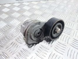 Opel Meriva B Napinacz paska wielorowkowego / Alternatora 55565570