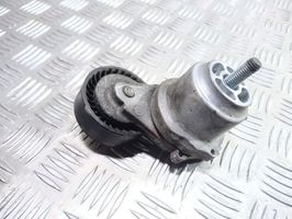 Opel Meriva B Napinacz paska wielorowkowego / Alternatora 55565570