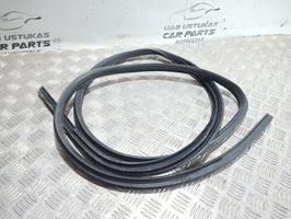 Mitsubishi Outlander Front door rubber seal 