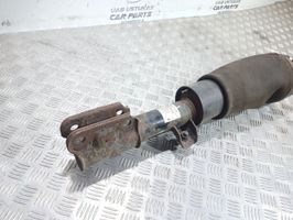 Land Rover Range Rover L322 Amortisseur airmatic de suspension pneumatique avant 3497693