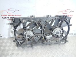 Opel Insignia A Ventiliatorių komplektas 01250395