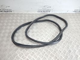 Audi A6 S6 C6 4F Front door rubber seal 