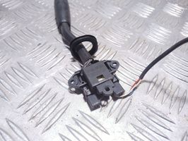 Peugeot 406 Palanca de control de crucero 96343806