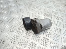 BMW 1 E81 E87 Napinacz paska wielorowkowego / Alternatora 