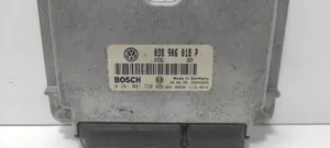 Volkswagen PASSAT B5 Centralina/modulo del motore 038906018P