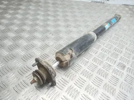 BMW 3 E46 Rear shock absorber/damper 