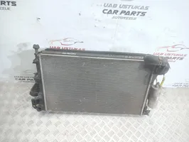 Opel Signum Set del radiatore 
