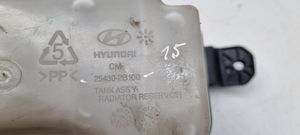 Hyundai Santa Fe Aušinimo skysčio išsiplėtimo bakelis 254302B100