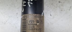 Toyota C-HR Ammortizzatore posteriore 48530F4020